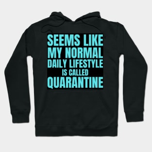 Seems Like My Normal Daily Life Is Called Quarantine Funny Introvert Autism Hoodie